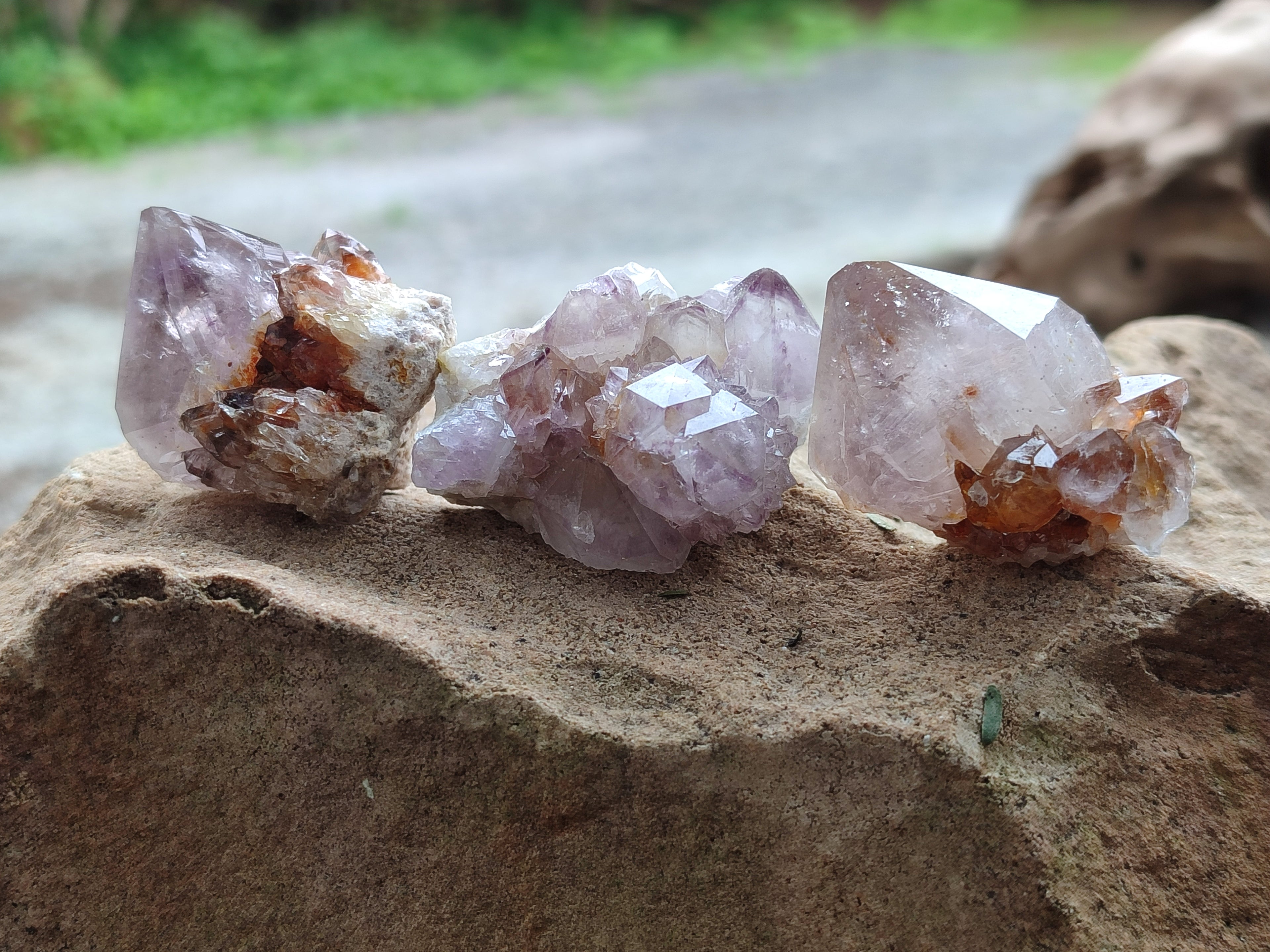 Natural Amethyst Spirit Quartz Clusters x 39 From Boekenhouthoek, South Africa - Toprock Gemstones and Minerals 