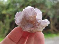Natural Amethyst Spirit Quartz Clusters x 39 From Boekenhouthoek, South Africa