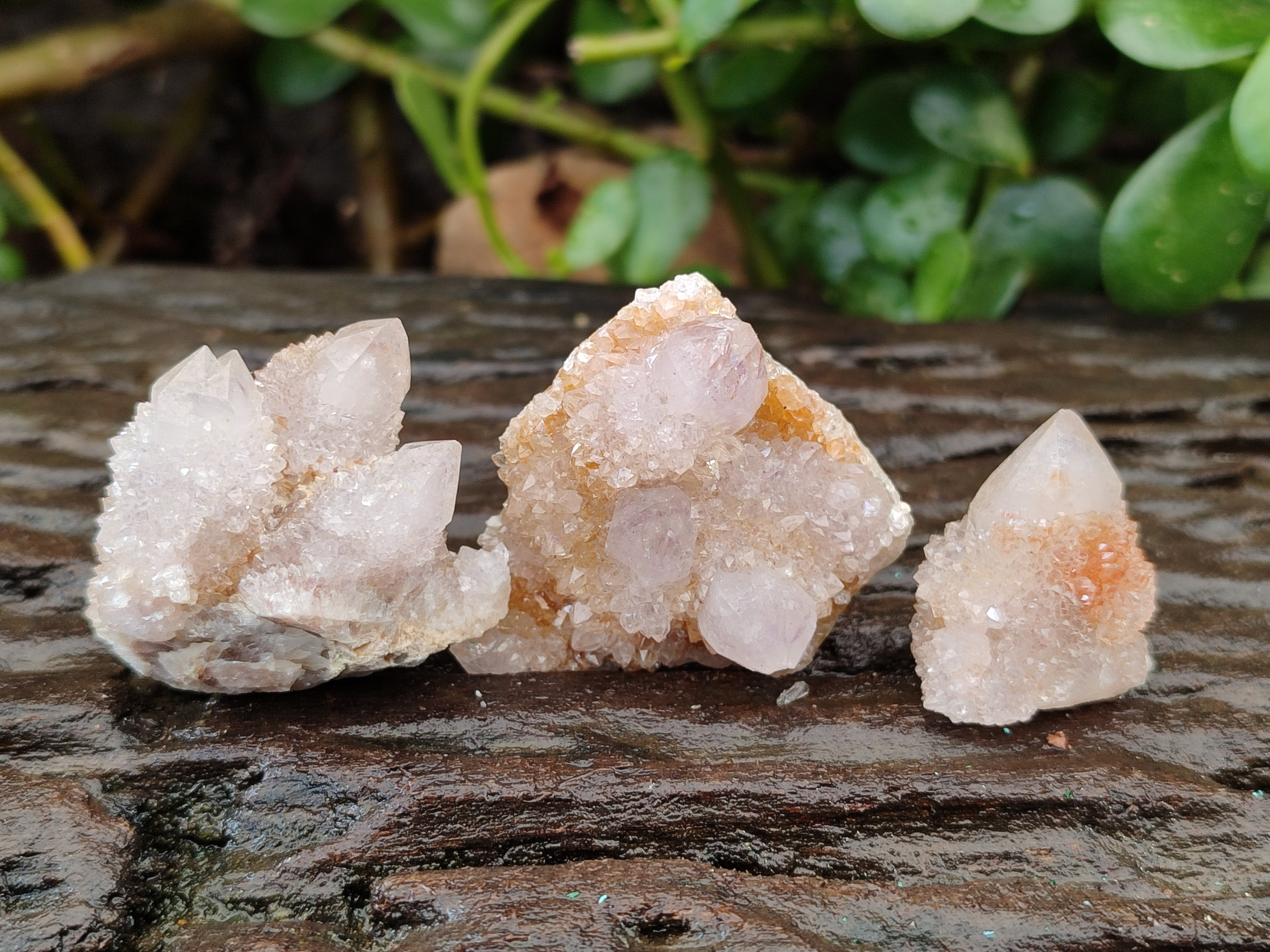 Natural Amethyst Spirit Quartz Clusters x 39 From Boekenhouthoek, South Africa - Toprock Gemstones and Minerals 