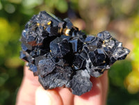 Natural Schorl Black Tourmaline with Hyalite Opal Specimens x 12 From Erongo, Namibia