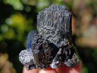 Natural Schorl Black Tourmaline with Hyalite Opal Specimens x 12 From Erongo, Namibia