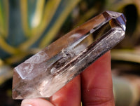 Polished Smokey Quartz Crystals x 12 From Madagascar