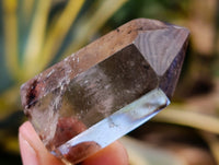 Polished Smokey Quartz Crystals x 12 From Madagascar
