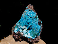 Natural Drusy Coated Stalagmite Chrysocolla with Malachite and Cuprite on Dolomite Matrix x 1 From Lupoto Mine, Congo