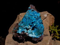 Natural Drusy Coated Stalagmite Chrysocolla with Malachite and Cuprite on Dolomite Matrix x 1 From Lupoto Mine, Congo
