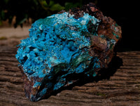 Natural Drusy Coated Stalagmite Chrysocolla with Malachite and Cuprite on Dolomite Matrix x 1 From Lupoto Mine, Congo