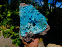 Natural Drusy Coated Stalagmite Chrysocolla with Malachite and Cuprite on Dolomite Matrix x 1 From Lupoto Mine, Congo