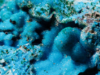 Natural Drusy Coated Stalagmite Chrysocolla with Malachite and Cuprite on Dolomite Matrix x 1 From Lupoto Mine, Congo