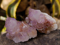 Natural Cactus Flower Sunburst Spirit Amethyst Clusters x 12 From Boekenhouthoek, South Africa