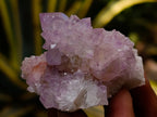 Natural Cactus Flower Sunburst Spirit Amethyst Clusters x 12 From Boekenhouthoek, South Africa - Toprock Gemstones and Minerals 