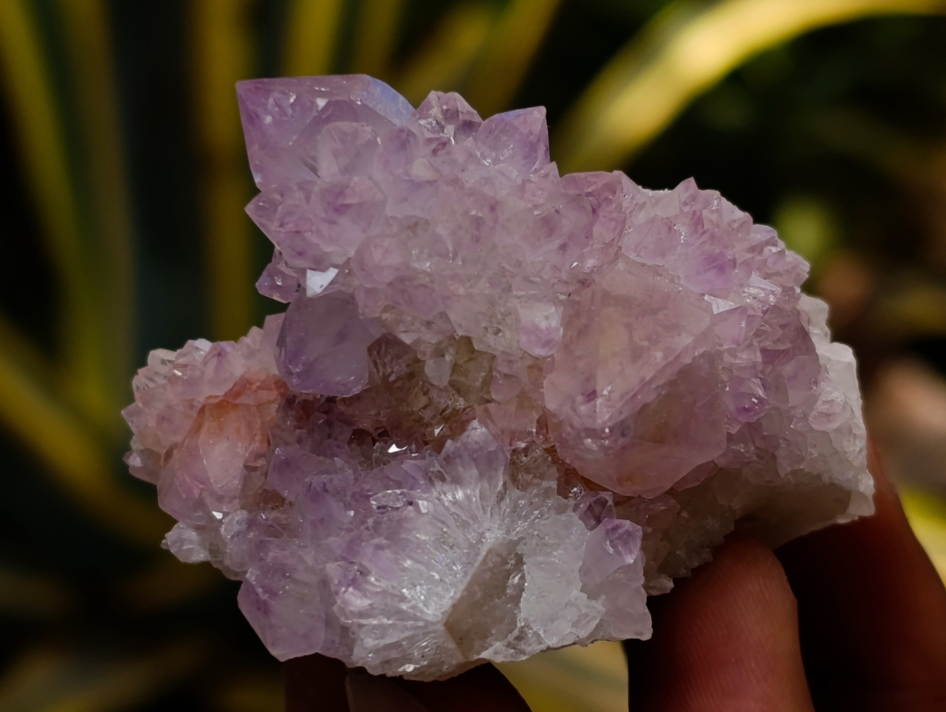 Natural Cactus Flower Sunburst Spirit Amethyst Clusters x 12 From Boekenhouthoek, South Africa - Toprock Gemstones and Minerals 