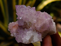 Natural Cactus Flower Sunburst Spirit Amethyst Clusters x 12 From Boekenhouthoek, South Africa