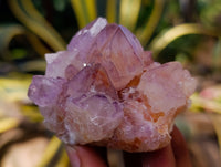 Natural Cactus Flower Sunburst Spirit Amethyst Clusters x 12 From Boekenhouthoek, South Africa
