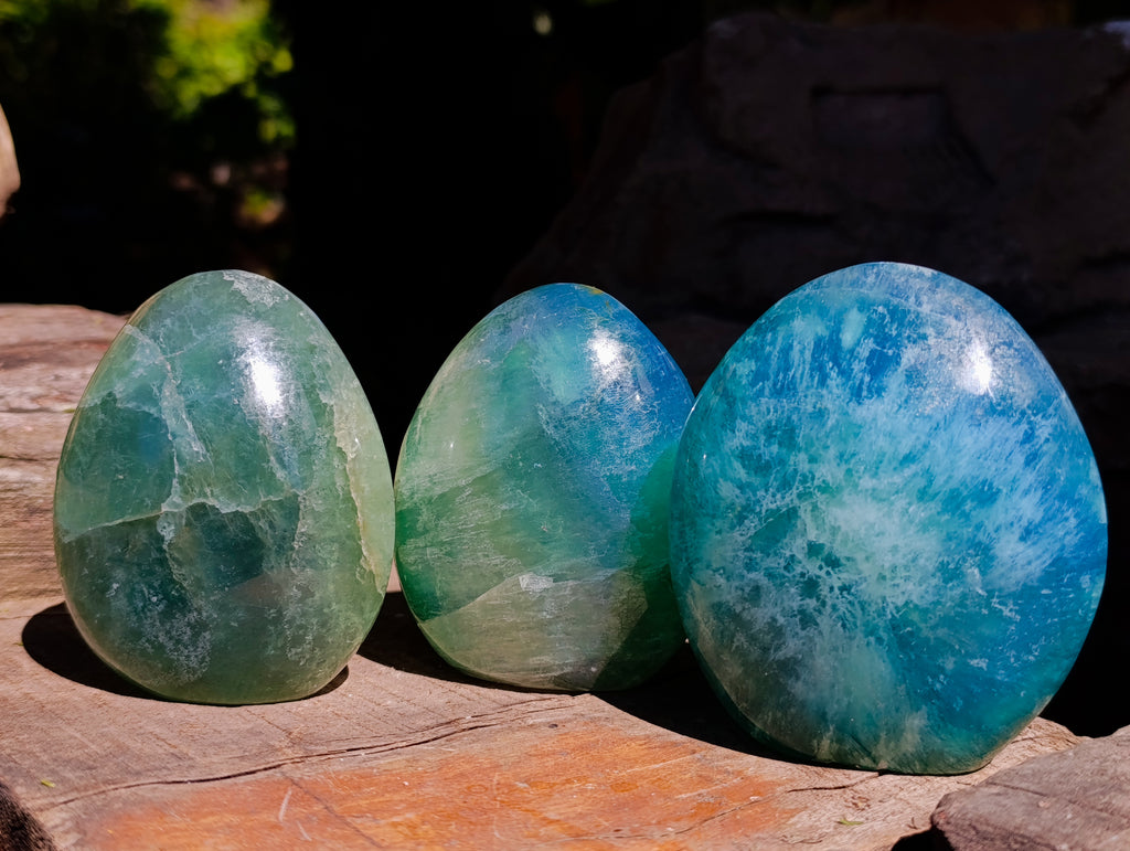 Polished Green Fluorite Standing Free Forms x 3 From Madagascar - Toprock Gemstones and Minerals 