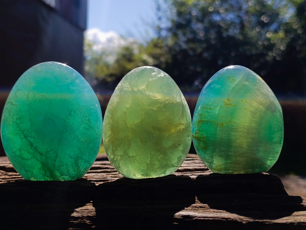 Polished Green Fluorite Standing Free Forms x 3 From Madagascar - Toprock Gemstones and Minerals 