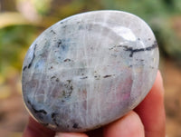 Polished Labradorite Palmstones x 35 From Tulear, Madagascar