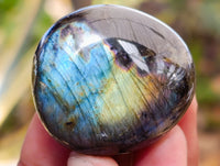 Polished Labradorite Palmstones x 35 From Tulear, Madagascar