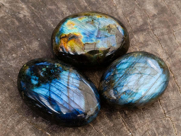 Polished Labradorite Palmstones x 35 From Tulear, Madagascar