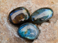Polished Labradorite Palmstones x 35 From Tulear, Madagascar