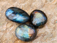 Polished Labradorite Palmstones x 35 From Tulear, Madagascar