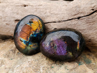 Polished Labradorite Palmstones x 35 From Tulear, Madagascar