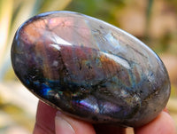 Polished Labradorite Palmstones x 35 From Tulear, Madagascar