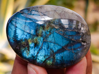 Polished Labradorite Palmstones x 35 From Tulear, Madagascar