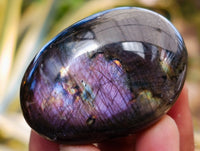 Polished Labradorite Palmstones x 35 From Tulear, Madagascar