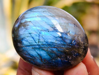 Polished Labradorite Palmstones x 35 From Tulear, Madagascar