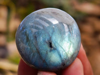 Polished Labradorite Palmstones x 35 From Tulear, Madagascar