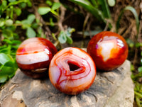 Polished Carnelian Agate Spheres x 6 From Madagascar