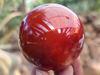 Polished Carnelian Agate Spheres x 6 From Madagascar