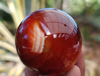 Polished Carnelian Agate Spheres x 6 From Madagascar