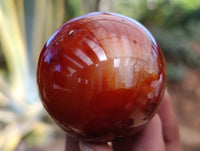 Polished Carnelian Agate Spheres x 6 From Madagascar