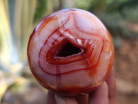 Polished Carnelian Agate Spheres x 6 From Madagascar