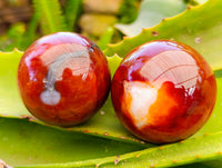 Polished Carnelian Agate Spheres x 6 From Madagascar