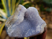 Natural Blue Lace Agate Geode Specimens x 12 From Nsanje, Malawi