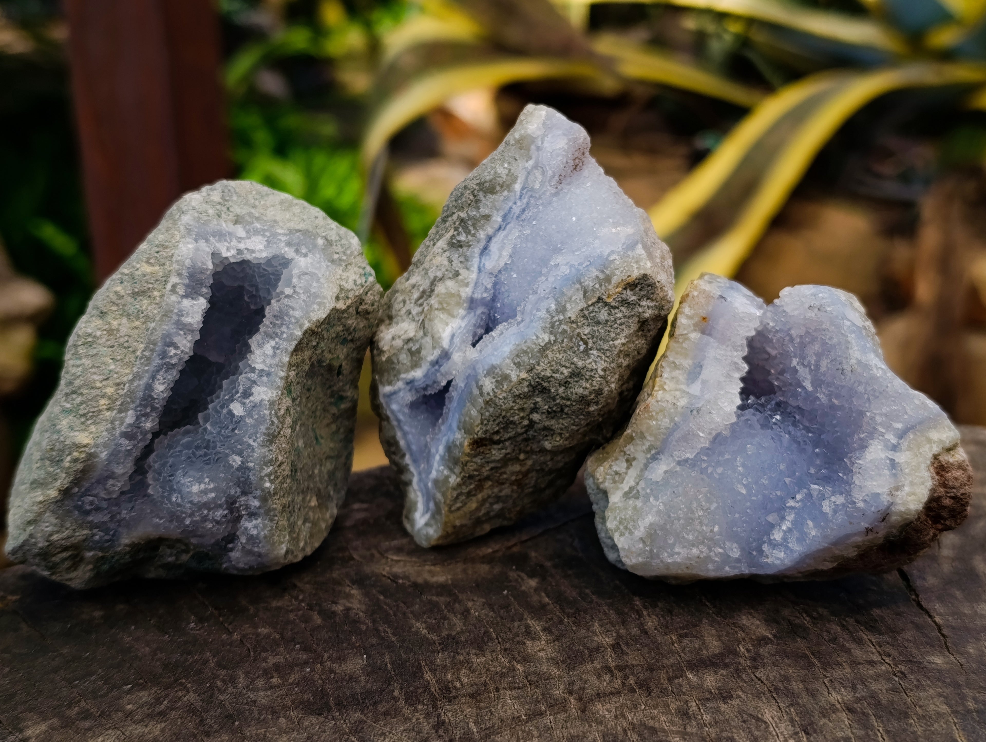 Natural Blue Lace Agate Geode Specimens x 12 From Nsanje, Malawi - Toprock Gemstones and Minerals 