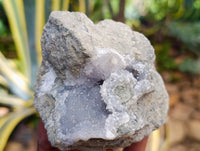 Natural Blue Lace Agate Geode Specimens x 12 From Nsanje, Malawi