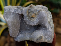 Natural Blue Lace Agate Geode Specimens x 12 From Nsanje, Malawi