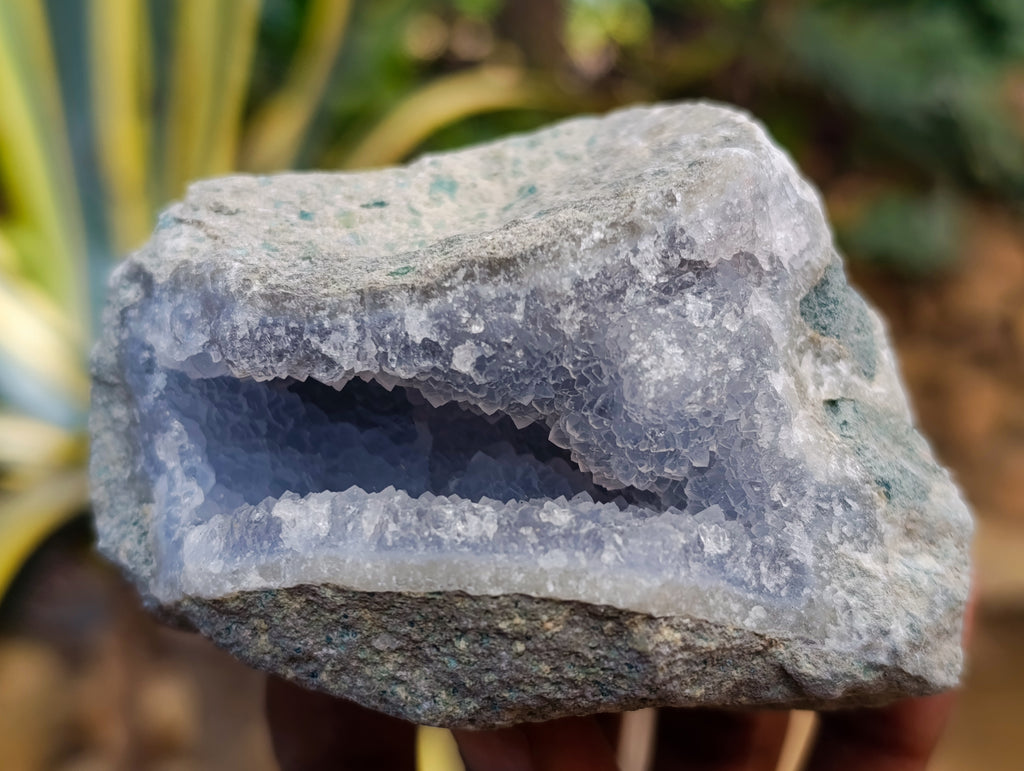 Natural Blue Lace Agate Geode Specimens x 12 From Nsanje, Malawi - Toprock Gemstones and Minerals 