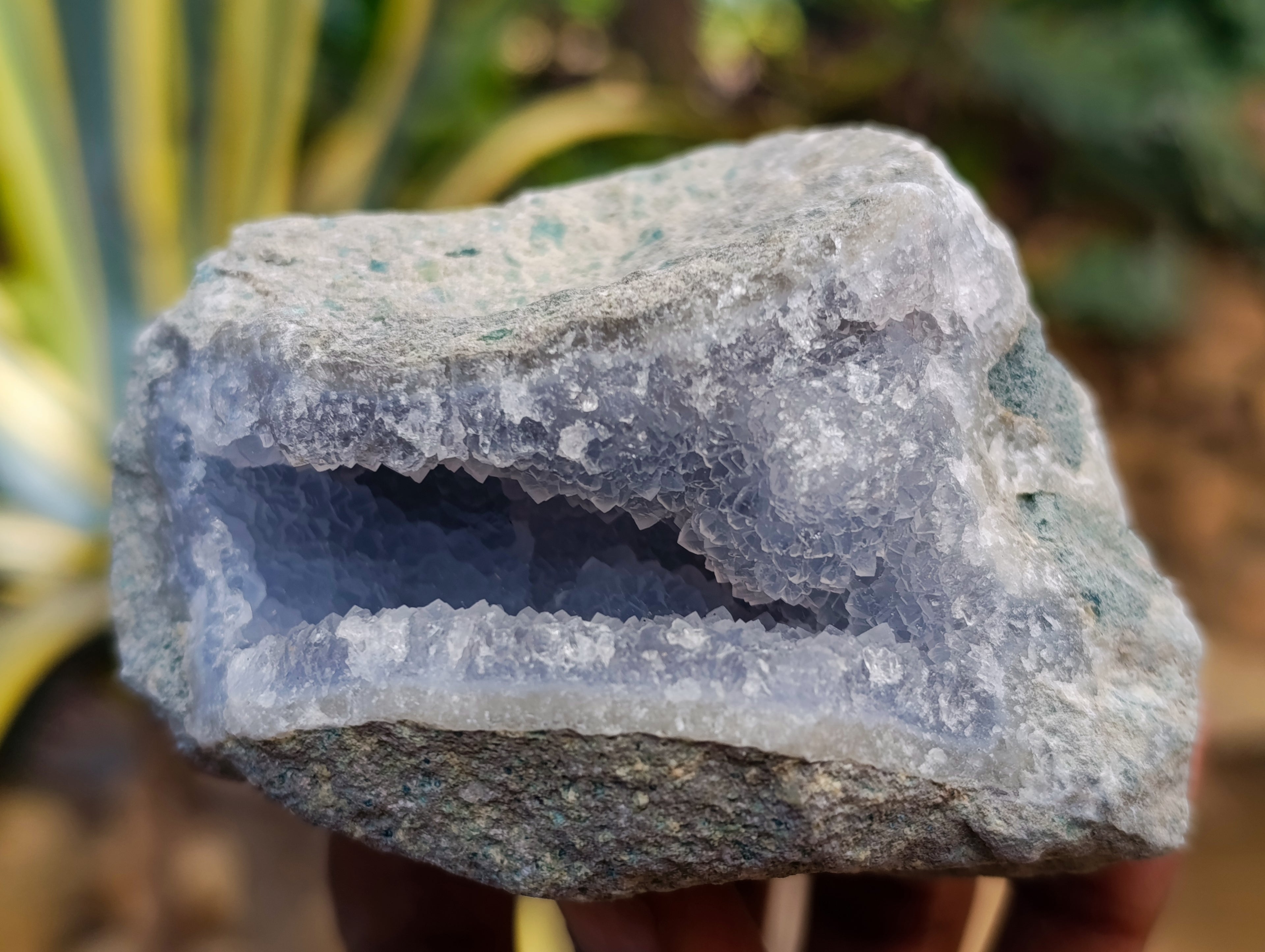 Natural Blue Lace Agate Geode Specimens x 12 From Nsanje, Malawi - Toprock Gemstones and Minerals 
