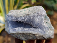 Natural Blue Lace Agate Geode Specimens x 12 From Nsanje, Malawi