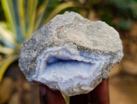 Natural Blue Lace Agate Geode Specimens x 12 From Nsanje, Malawi