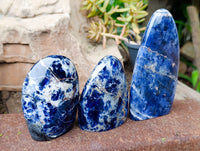Polished Sodalite Standing Free Forms x 3 From Kunene River, Namibia