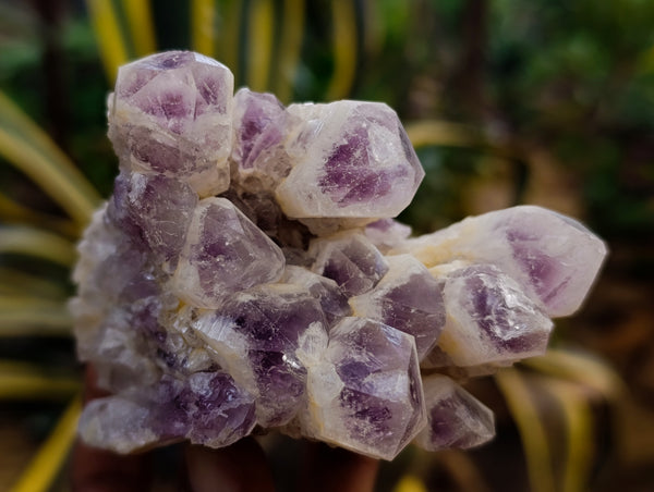 Natural Sugar Amethyst Quartz Clusters x 4 From Solwezi, Zambia