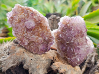 Natural Dark Amethyst Spirit Quartz Clusters x 6 From Boekenhouthoek, South Africa