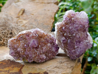 Natural Dark Amethyst Spirit Quartz Clusters x 6 From Boekenhouthoek, South Africa