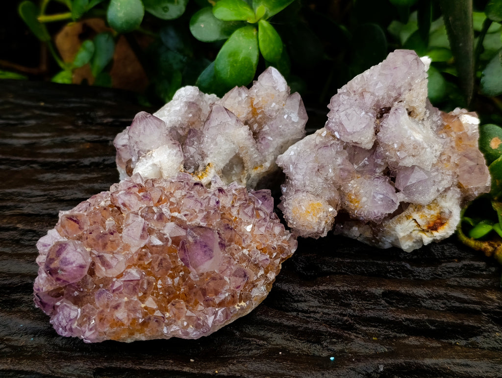 Natural Dark Amethyst Spirit Quartz Clusters x 6 From Boekenhouthoek, South Africa - Toprock Gemstones and Minerals 