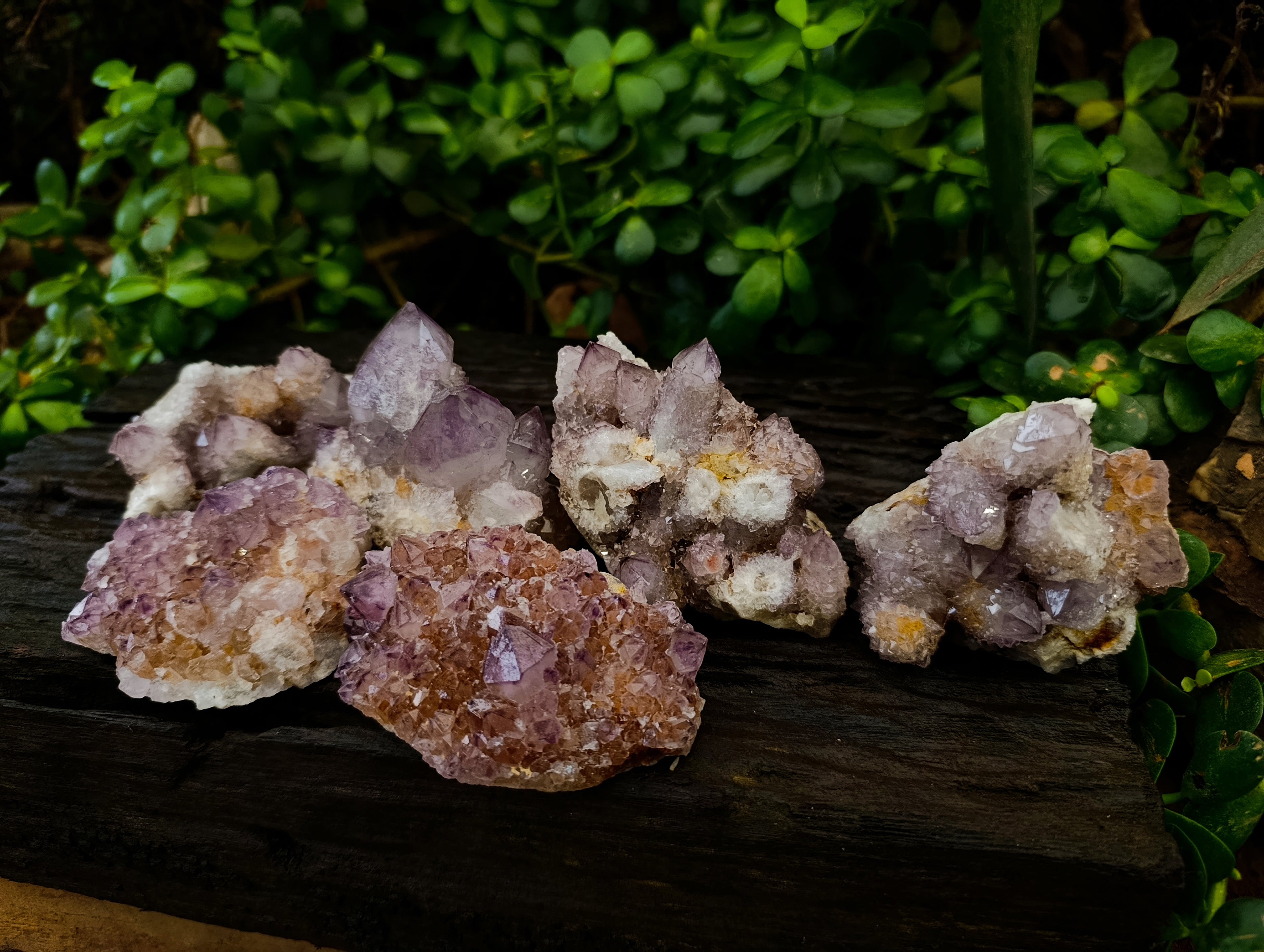 Natural Dark Amethyst Spirit Quartz Clusters x 6 From Boekenhouthoek, South Africa - Toprock Gemstones and Minerals 